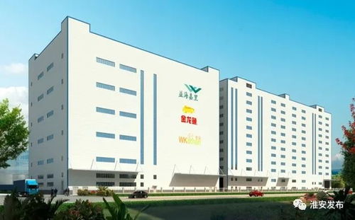 貫徹落實黨代會精神丨益海嘉里糧油深加工項目 助力我市打造國家級食品產業園