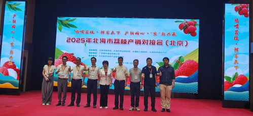 北海荔枝進京拓市場產銷對接助力鄉(xiāng)村振興 北海市在京成功舉辦荔枝產銷對接會