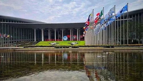 與世界共享農(nóng)業(yè)未來 世界農(nóng)產(chǎn)品點亮中國進(jìn)博會